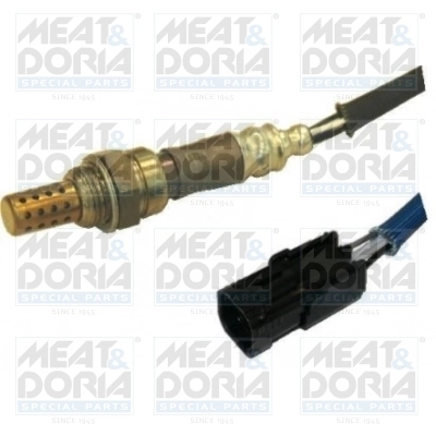 Oxygen Sensor